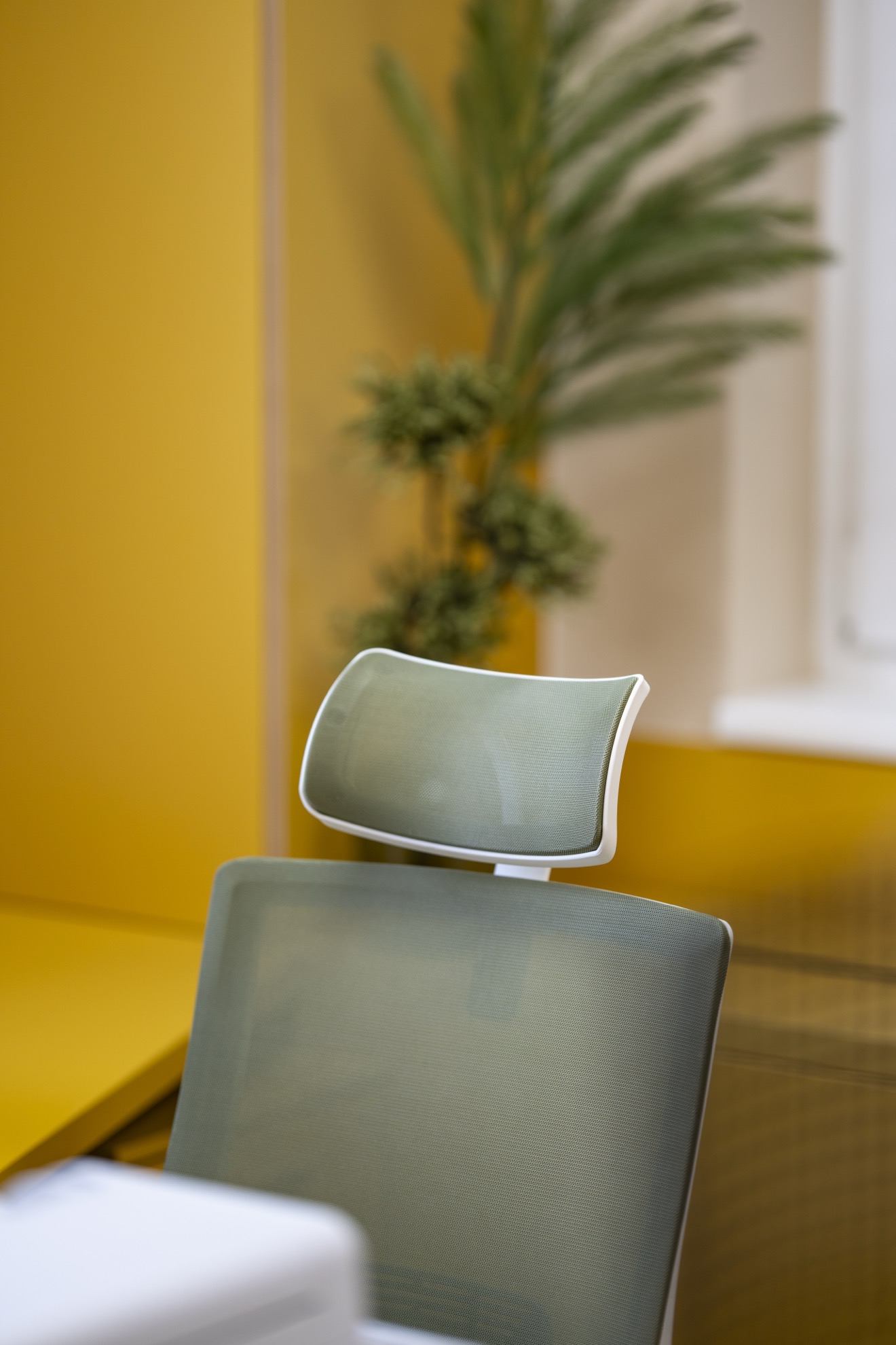 Ordination Dr. Berl - Detail 6 Ordination Dr. Berl - Detail 6